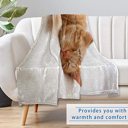 Couverture douce chat contre les soirées fraîches sur canapé et lit - 7