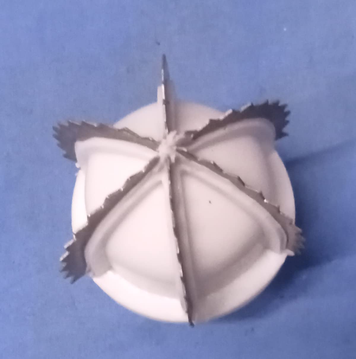Generic Coconut Scraper, White, Stainless Steel & Plastic, 6.5cm x 4cm-image-9