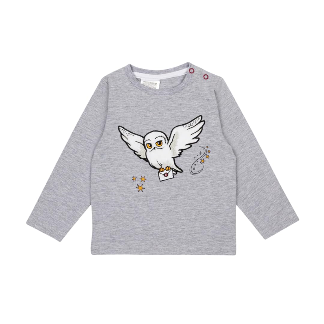 Blade & Rose | Hary Potter Hedwig Top | Unisex Clothing for Children 0-6 Months | Grey/White
