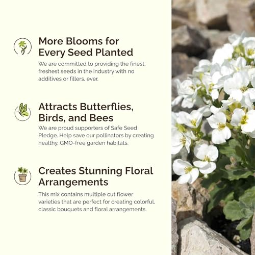 image for Eden Brothers Rock Garden Perennial Wildflower Mixed Seeds for Plantin