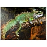 Lagartija con Piel Verde Y sobre Una Rama En La Naturaleza - Premium 1000 Piezas Puzzles - Colección Especial MyPuzzle de Puzzle Galaxy