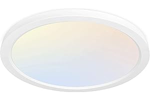 hykolity 12 Inch Selectable Round Flat Light Panel