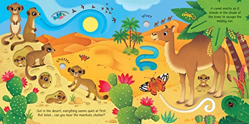 Wild Animals Sound Book: An Interactive Journey Through the World's Wildest Places with Engaging Sounds and Beautiful Illustrations for Young Explorers (Sound Books) - Image 2