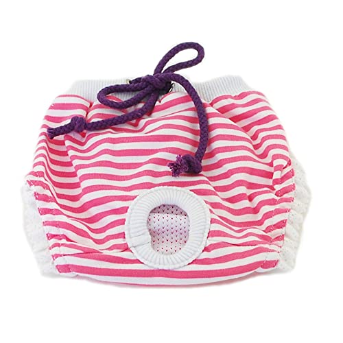 LIZHOUMIL Pantalones fisiológicos de algodón para mascotas, ropa interior a rayas, pañal, suministros para mascotas, color rojo, 2XL