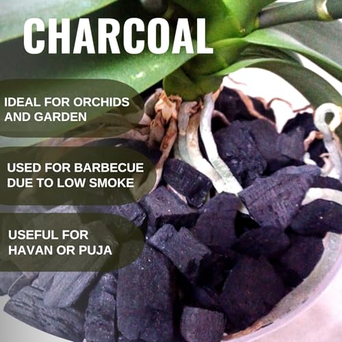 Image of Wood Based Activated Charcoal (1 Kilogram) for Orchid Potting, anthurium Plants, Horticultural Grade, Grilling, Barbecue, Baby Dhoop, BBQ Low Smoke Charcoal (1KG)