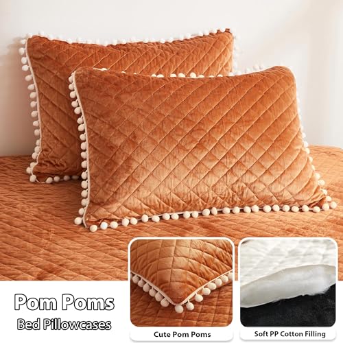 Image of LIFEREVO Terracotta Plush Shaggy Duvet Cover Set, Soft Velvet Fluffy Comforter Quilt Cover Bedding Set(1 Faux Fur Fuzzy Duvet Cover + 2 Pompoms Pillow Cases), Zipper Closure(King, Burnt Orange)