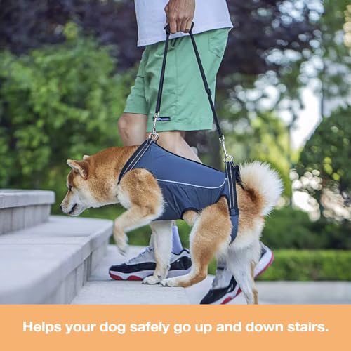 Dog Lift Harness for Senior & Injured Dogs – Full Body Mobility Support Sling, Adjustable Aid for Walking, Arthritis & Joint Pain, Help on Stairs (Small) - Image 6