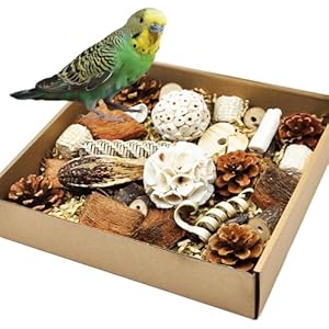 Natural Bird Foraging & Parrot Shredding Toys Box – Interactive Chewing and Foraging Toys for Parakeets, Cockatiels, Conures, Love Birds, and Small to Medium Birds