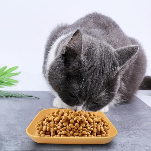 Katzenschüssel 10 Stück Katzennapf Flach, Fressnapf Katze Quadrat (14.5 X 14.5 X 1.5cm) Katzenfutter Napf, Katzenteller für Kätzchen, Kurzbeinige, Welpen oder andere Kleintiere