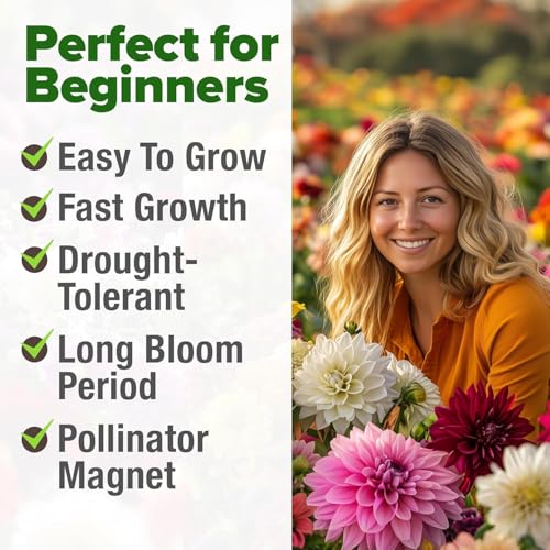Image of HOME GROWN USA Premium Zinnia Dahlia Seeds Pack for 2026,1048 Non-GMO Flower Seeds, Vibrant Zinnia Elegans for Planting Pollinator Gardens, Borders & Containers, Easy-to-Grow Outdoor Blooms