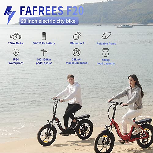 Fafrees F20 [Ufficiale] Pieghevole e Bike Fatbike