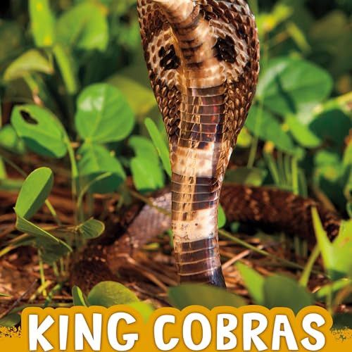 King Cobras by Jaclyn Jaycox episode artwork