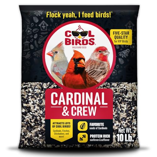 Cool Birds Cardinal & Crew Wild Bird Seed – 10 lb. Black Oil Sunflower, Sunflower Hearts & Safflower Blend for Cardinals, Grosbeaks & Chickadees – Bird Food for Outside Feeders