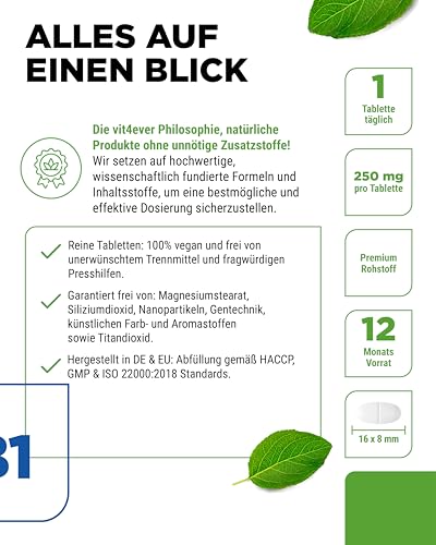vit4ever Vitamin B1 (Thiamin) - 250 mg - 365 Tabletten - Premium: Thiamin Hydrochlorid - Hohe Bioverfügbarkeit - 12 Monatsvorrat - Ohne unerwünschte Zusätze - Vegan