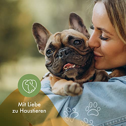 Hunde Verdauungs Pulver bei Durchfall oder Blähungen mit Probiotika & Präbiotika fördert die Darmsanierung bei Verdauungsproblemen für eine gesunde Darmflora 250g