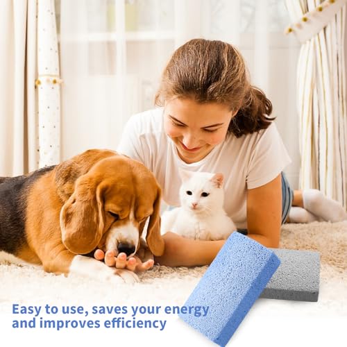 CVASNF 4 Stück Trimmstein für Hunde, Bimsstein Hund Trimmen Haustier Bimsstein Fußpflege Pumice Stone Haarentfernung Tierhaare Hornhautentferner Werkzeug für Couch Möbel Bettwäsc