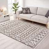 Plus de confort : en tant que tapis shaggy moderne, il convainc par ses poils moelleux et assure une sensation de douceur agréable à chaque pas.