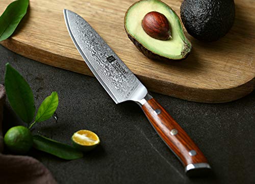 Xinzuo Damaststahl Allzweckmesser 13,3 cm Profi Universalmesser