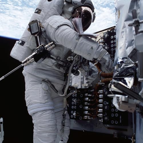 A Veterinarian&rsquo;s Journey Beyond Earth
