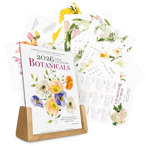 2026NJ_[ - {^jJʃ}X[J_[AčA`x[V̈pt5x7y[WAz[ItBXXN[pؐC[[ zf[VÑMtg(2026 {^jJ - 02AU^X^h)