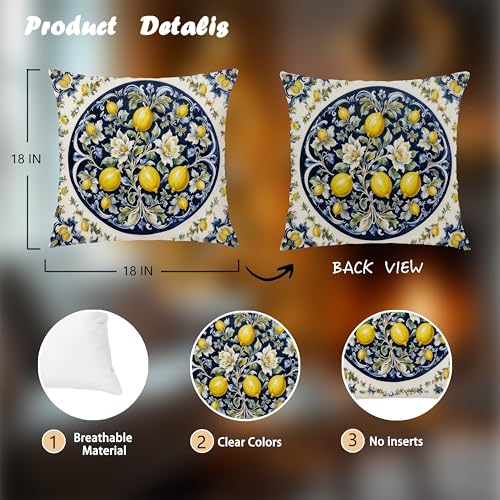 Image of Italian Amalfi Coast Lemon Pillow Cover 18x18 Double-Sided, Blue and White Mediterranean Citrus Fruit Decorative Throw Pillow Cover for Home Living Room Bedroom