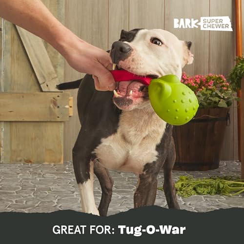 Image of BarkBox Tug Tied Toad Dog Toy | for Tough Chewers - Durable Rubber Design, Perfect for Tug-of-War