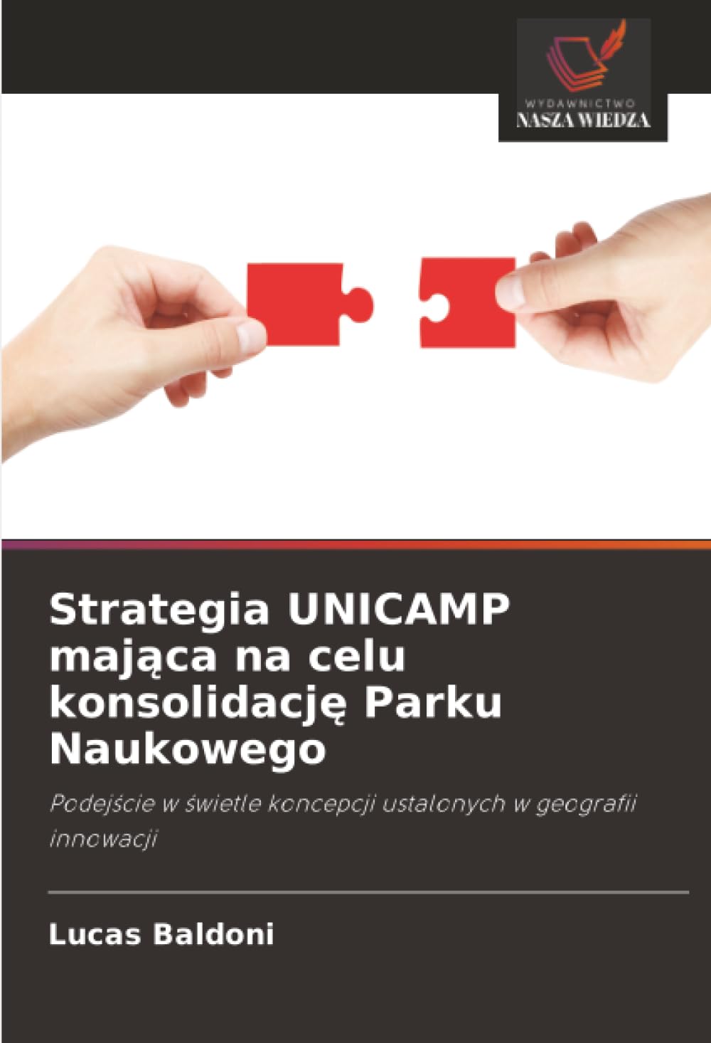 Strategia UNICAMP mająca na celu konsolidację Parku Naukowego: Podej¿cie w ¿wietle koncepcji ustalonych w geografii innowacji