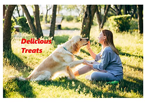 TURMERIFIC TREATS, Delicious Dog Treats with Turmeric for Hip & Joint Health - Image 3