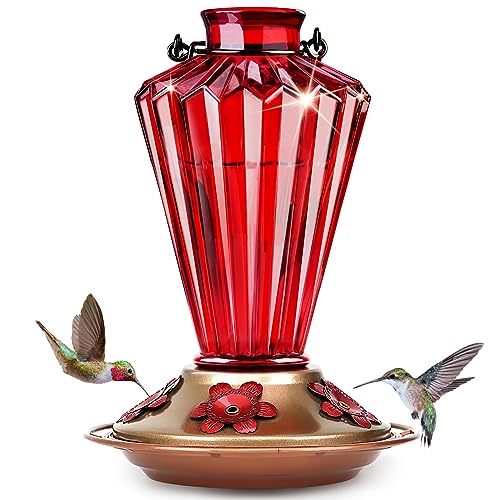 What's The Best Rated Hummingbird Feeder By An Expert
