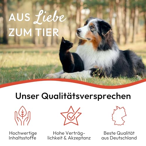 PHA UmgebungsSpray – Pflanzliches Ungeziefer Spray gegen Flöhe, Milben, Läuse & Zecken, Flohmittel für Wohnung, Anti Floh Spray, Alternative zu Fogger gegen Flöhe, 150 ml