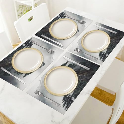 Set de table en PVC résistant à la chaleur lot de 4 lavable 30x45cm