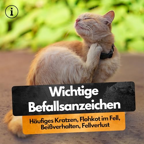 Spot On Repellent - 3 Tuben - Gegen Flöhe, Zecken, Läuse - Für Katzen und Hunde - Zum direkten Auftragen auf die Haut - Zeckenschutz Katze - Zeckenschutz Hund - Zeckenmittel (L (20-30 KG))
