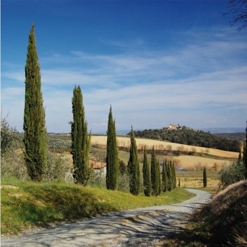 Walimex Pro Polfilter zirkular MC 72 mm (inkl. Schutzhülle) – Bild 3