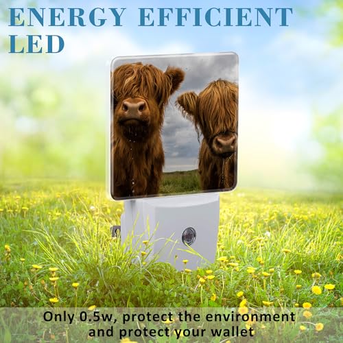Image of Highland Cows Night Light with Dusk to Dawn Sensor for Kid Girls Boys Women Men Room Decor, Hallway, Kitchen, Bathroom, Nursery, Stairs