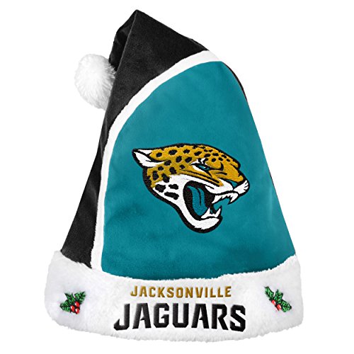 Jacksonville Jaguars 2015 Basic