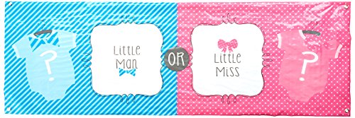 Creative Converting Baby Shower/Gender Reveal Party Banner Bow Or Bowtie