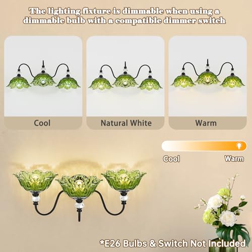 Image of Black Bathroom Vanity Light,3-Light Vanity Light with Floral Green Glass Shades,Vintage Farmhouse Wall Mount Lighting for Bathroom, Dressing Table
