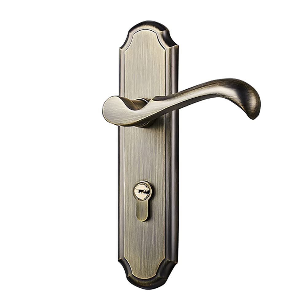 Poignée de porte durable moderne en acier inoxydable pour rénovation élégante