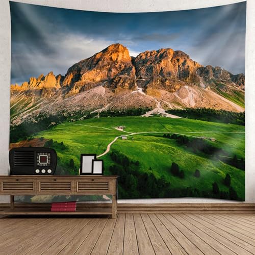 Tenture nature montagnes et prairie 260x240cm pour grand mur chambre enfant