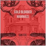 Sun Fox