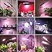 Necgemlex Smart LED Grow Lights for Indoor Plants - Real Time Sunlight Brightness Simulation, Full Spectrum Grow Light with 2-24 Hours Timer, Auto on/Off, Independent Control Dual Heads, Dimmable