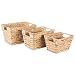 DII Natural Water Hyacinth Storage Basket with Handles, assorted Set of 3, Beige