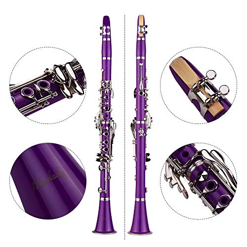Clarinet,Muslady 17-Key Clarinet,Bb Flat ABS Woodwind Instrument with Carry Case Cleaning Cloth Mini Screwdriver Reed Case 10pcs Reeds