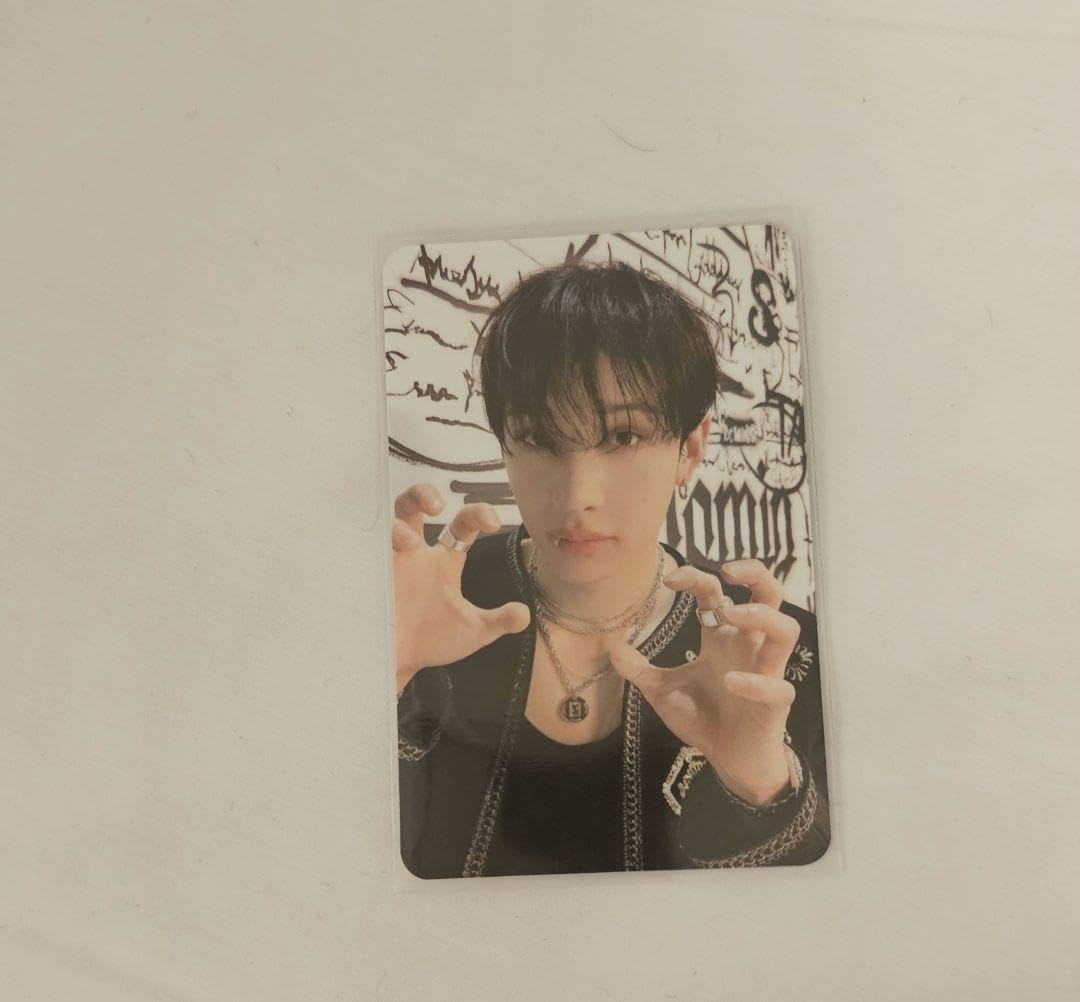 straykids dominATE ソウル オフライン トレカ まとめ売り Stray Kids dominATE ソウル オフライン トレカ バンチャン
