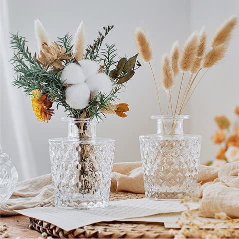 Small Glass Vase - Bud Vases in Bulk Set of 5 Different Shape Vintage EylKoi, Mini Vases Clear for Flowers, Table, Centerpieces, Home Decor, Wedding