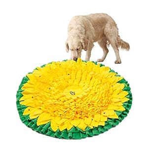 WYSWYG® Extra Großer Schnüffelteppich für Hunde und Katze: Riechen Trainingsmatte und Schnüffelmatte (67cm x 67cm) zur Nahrungssuche