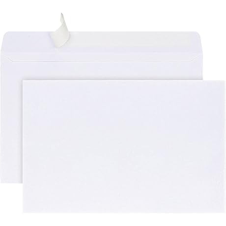 Personalized Impressive Business Catalog Envelopes (5 1/2 x 8 1/2)