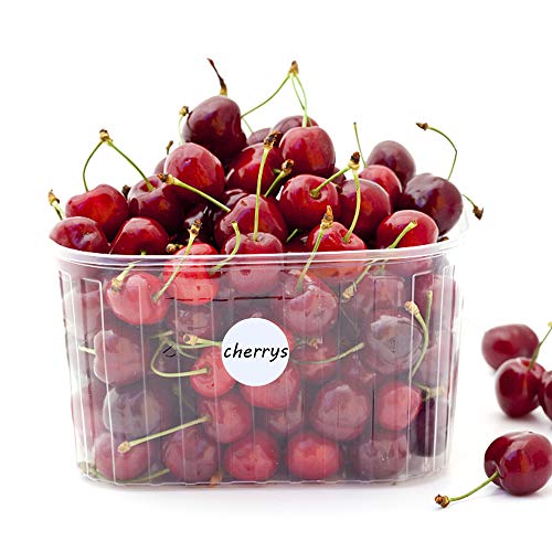 Hybsk White Color Coding Dot Labels Round Semi Gloss Paper Stickers Adhesive Label (1 Inch) #TOP4