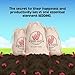 WWJD Worms Red Wigglers Composting Worms - 1/8lb Red Worms for Composting Bin, for Plants or Gardening, Compost Worm for Soil Fertility & Worm Farm, Easy to Manage