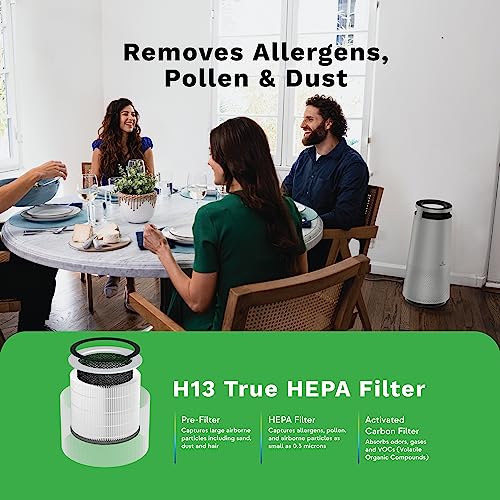 Dh Lifelabs | Sciaire Mini + Hepa Air Purifiers | Ions Actively Clean & Deodorize Air | Eliminates 99.9% Of Bacteria & Viruses | H13 Hepa Purifier Filter For Allergies Pets | Bedroom Home | Grey #TOP3